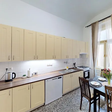 14b Charm Apt Wenceslas Square With Shared Kitchen And Bathroom براغ